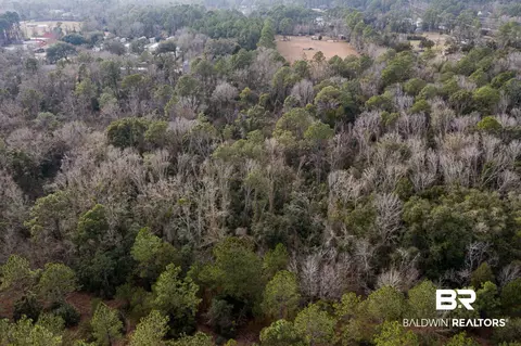 24060 Miflin Rd, Elberta, AL 36530 photo 15