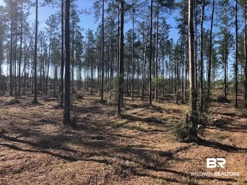 43480 Highway 112, Bay Minette, AL 36507