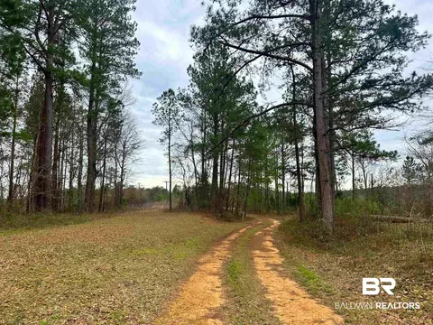 6004 Loree Rd, Evergreen, AL 36401 photo 7