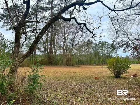 6004 Loree Rd, Evergreen, AL 36401 photo 3