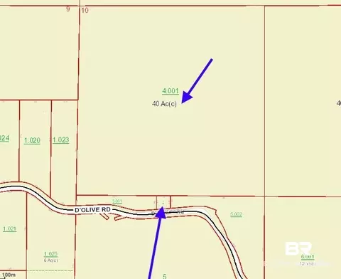 D'olive Road, Spanish Fort, AL 36527