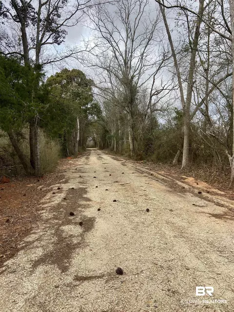 26939 Woerner Rd, Elberta, AL 36530 photo 4