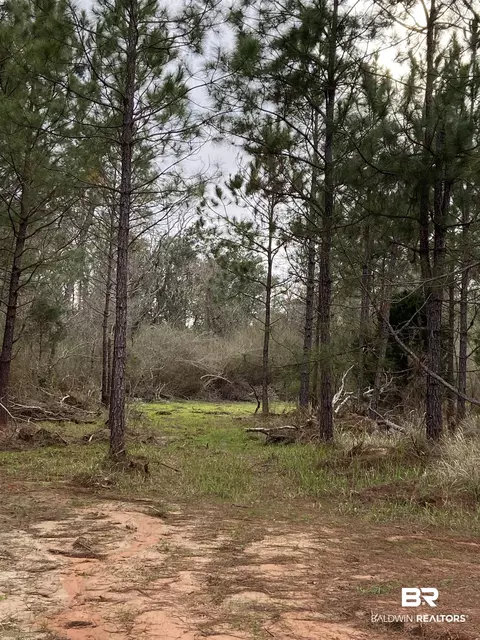 26939 Woerner Rd, Elberta, AL 36530 photo 7