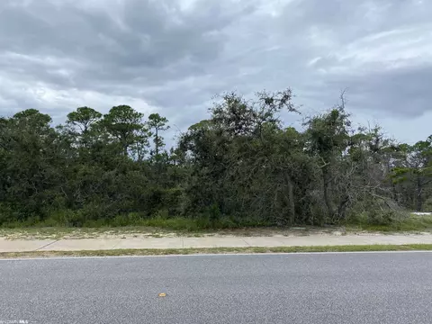 0 River Road O River Rd, Orange Beach, AL 36561