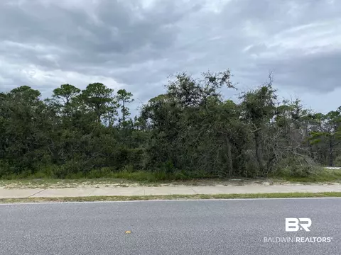 0 River Road O River Rd, Orange Beach, AL 36561