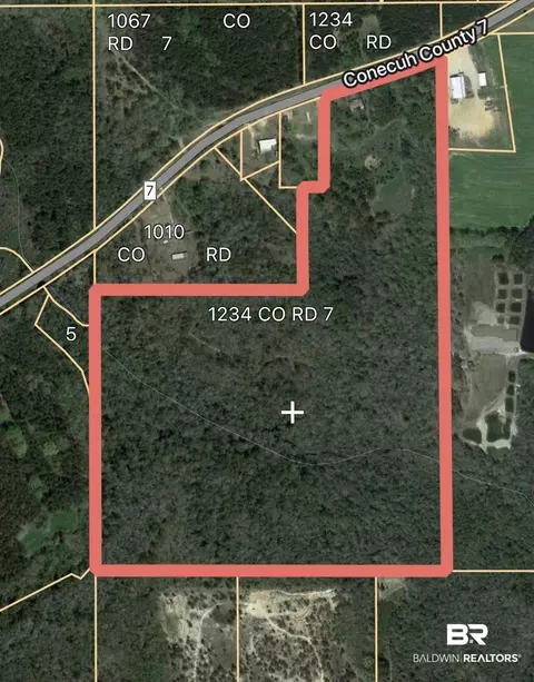 1234 County Road 7, Range, AL 36473 photo 2