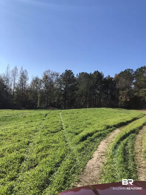 1234 County Road 7, Range, AL 36473 photo 4