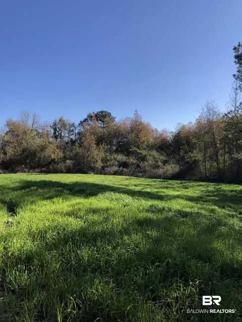 1234 County Road 7, Range, AL 36473 photo 5