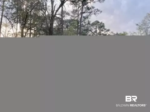 9655 Wilson Rd, Elberta, AL 36530 photo 6