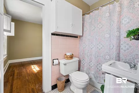 1651 Lamar St, Mobile, AL 36604 photo 15
