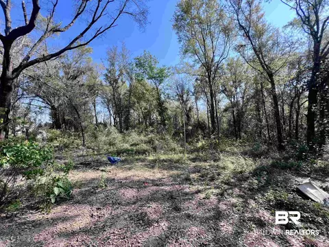 19338 Three Rivers Rd, Seminole, AL 36574