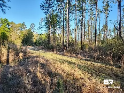 3 Paul Rd, Bay Minette, AL 36507