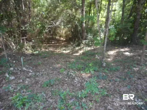0 S Lamhatty Ln, Daphne, AL 36526