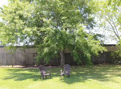 950 W Hamilton Bridges Dr, Mobile, AL 36695 photo 27