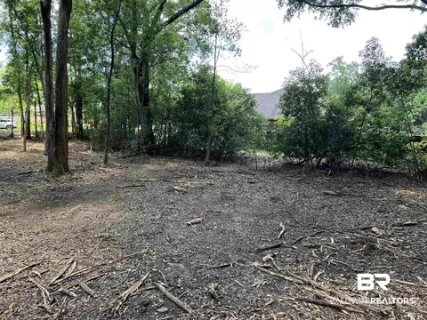 0 Brick Stack Ln, Fairhope, AL 36532 photo 10