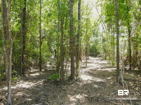 0 Brick Stack Ln, Fairhope, AL 36532 photo 5