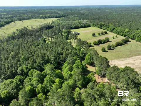 2189 Pineview Dr, Brewton, AL 36426 photo 14