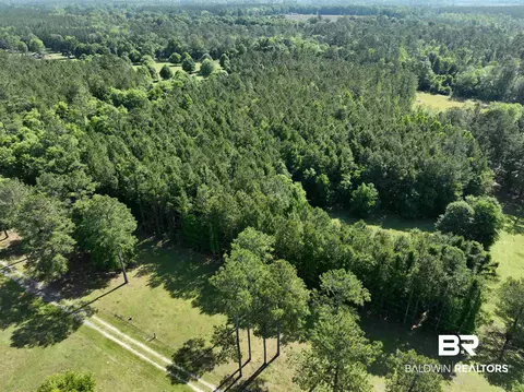 2189 Pineview Dr, Brewton, AL 36426 photo 7