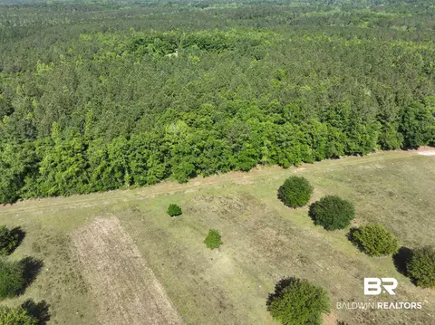 2189 Pineview Dr, Brewton, AL 36426 photo 9