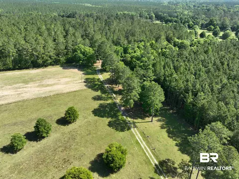 2189 Pineview Dr, Brewton, AL 36426 photo 6