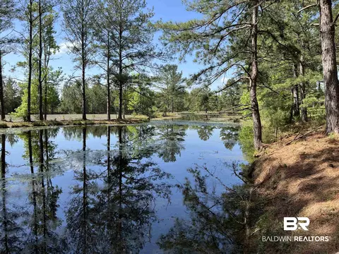 2189 Pineview Dr, Brewton, AL 36426 photo 28