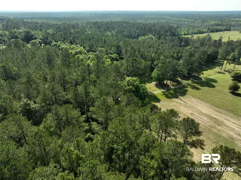 2189 Pineview Dr, Brewton, AL 36426 photo 8