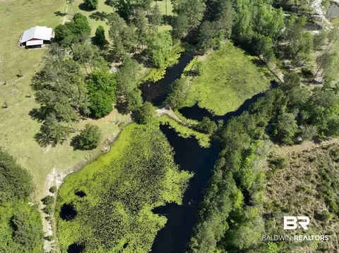 2189 Pineview Dr, Brewton, AL 36426 photo 26