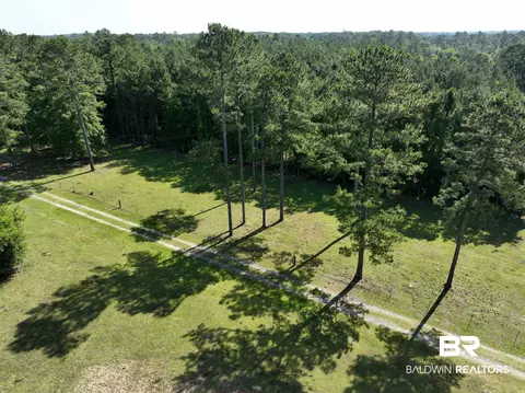 2189 Pineview Dr, Brewton, AL 36426 photo 5