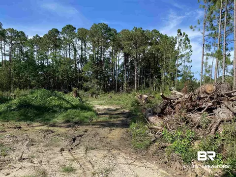 15420 Morris Dr, Coden, AL 36523 photo 6