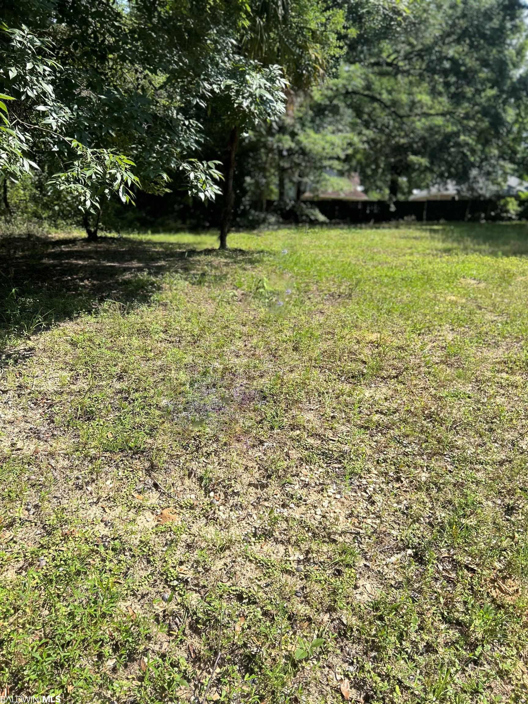 411 Miller Ave Unit a  