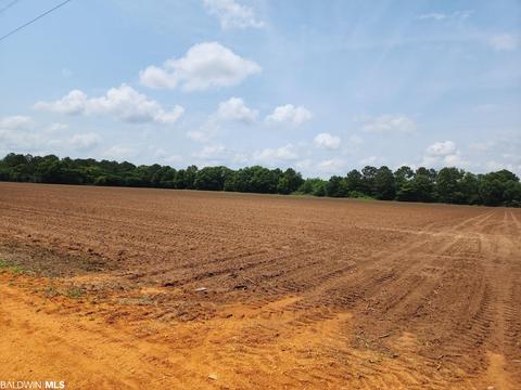 Bowman Avenue, Frisco City, AL 36445
