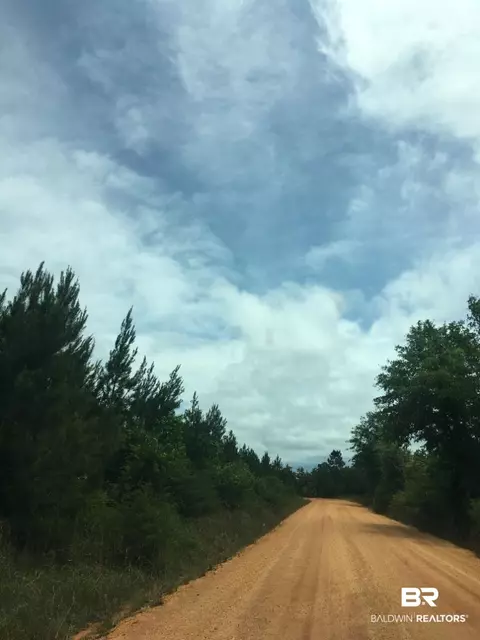 0 Knowles Rd, Flomaton, AL 36441