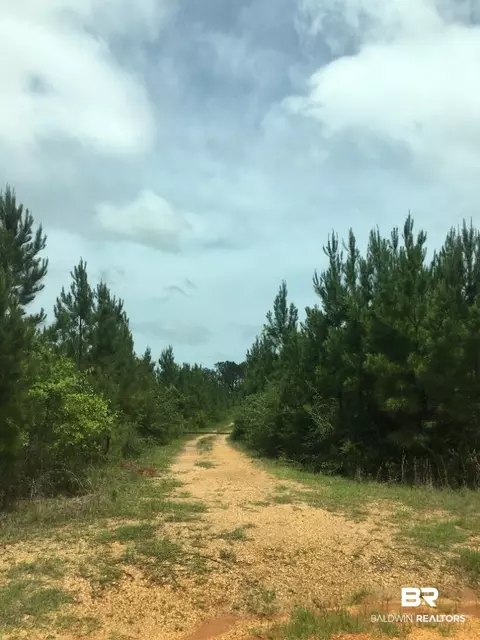 0 Knowles Rd, Flomaton, AL 36441 photo 2
