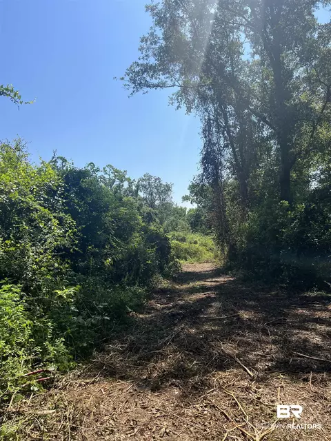 0 Cactus Ct, Elberta, AL 36530 photo 14