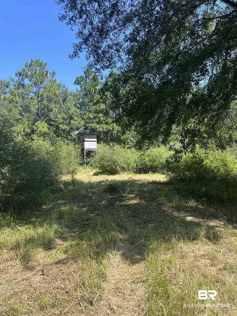 0 Cactus Ct, Elberta, AL 36530 photo 22