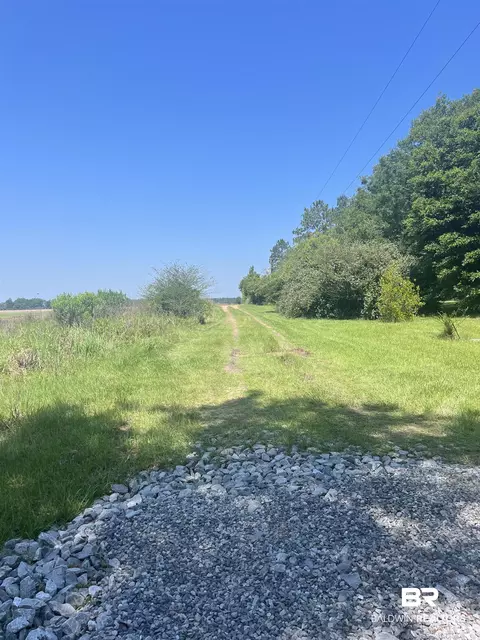 0 Cactus Ct, Elberta, AL 36530 photo 12