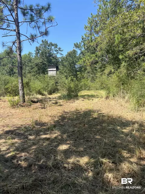 0 Cactus Ct, Elberta, AL 36530 photo 19