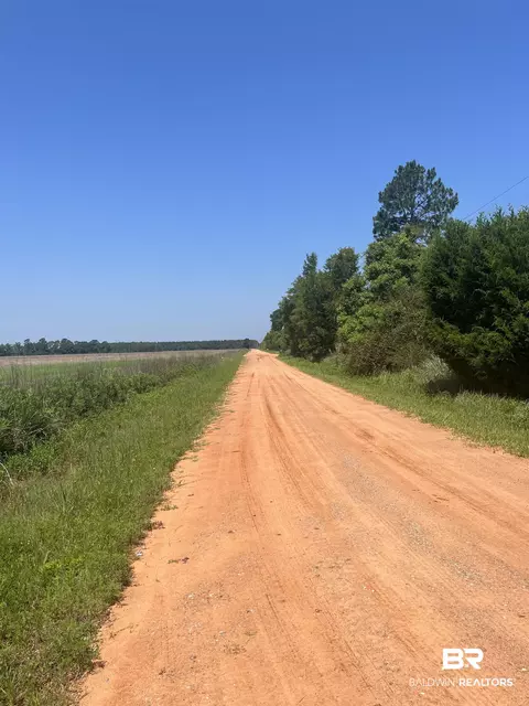 0 Cactus Ct, Elberta, AL 36530 photo 11