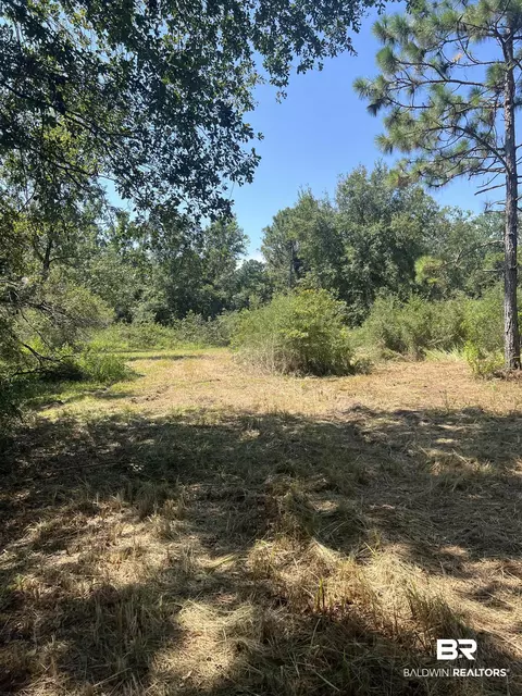 0 Cactus Ct, Elberta, AL 36530 photo 18