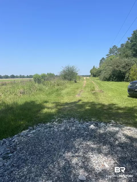0 Cactus Ct, Elberta, AL 36530 photo 7