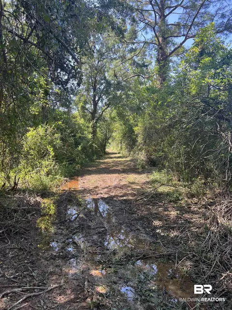 0 Cactus Ct, Elberta, AL 36530 photo 13