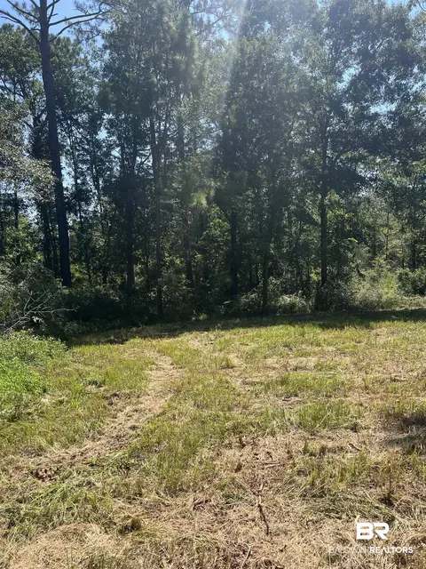 0 Cactus Ct, Elberta, AL 36530 photo 23