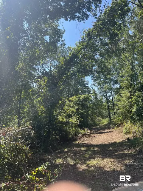 0 Cactus Ct, Elberta, AL 36530 photo 15