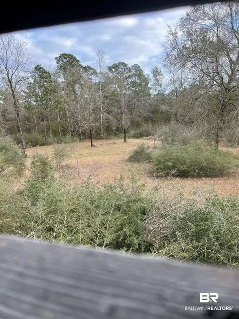 0 Cactus Ct, Elberta, AL 36530 photo 5