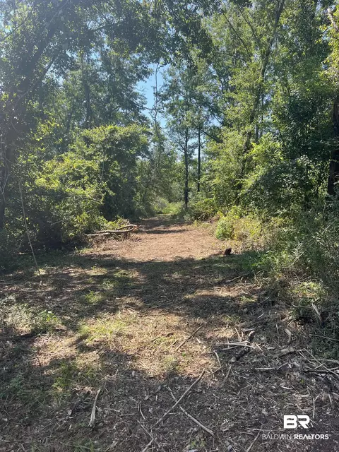 0 Cactus Ct, Elberta, AL 36530 photo 17