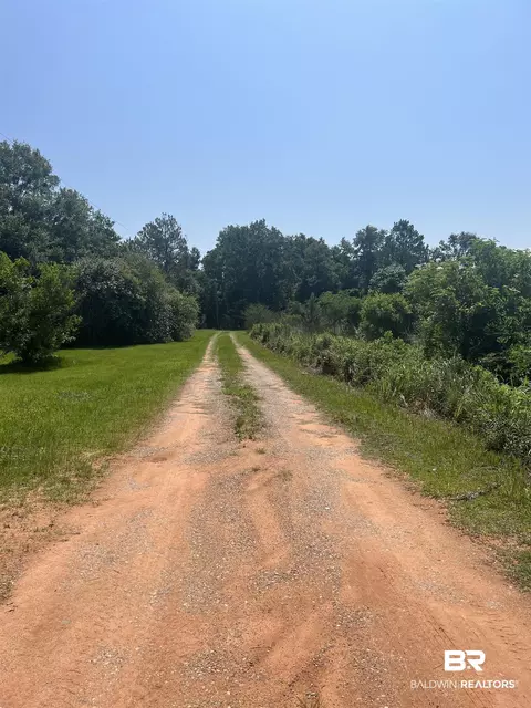 0 Cactus Ct, Elberta, AL 36530 photo 10