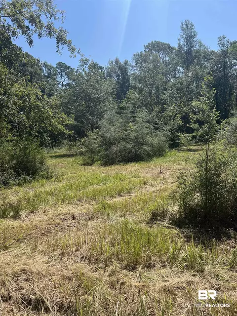 0 Cactus Ct, Elberta, AL 36530 photo 20