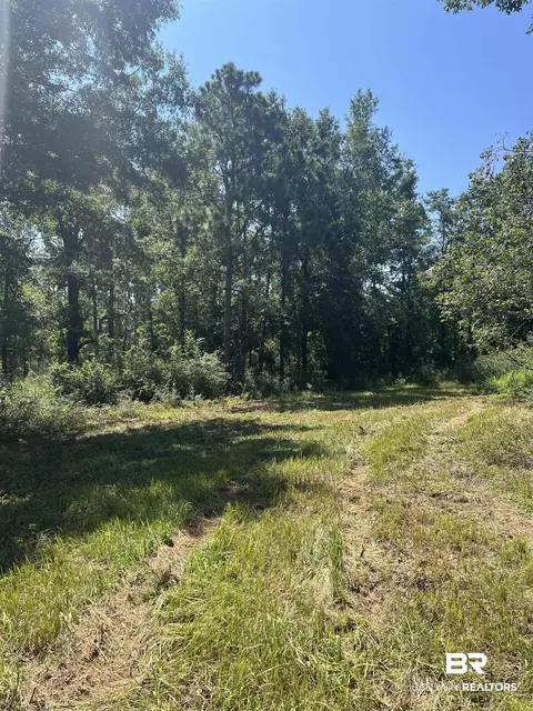 0 Cactus Ct, Elberta, AL 36530 photo 24