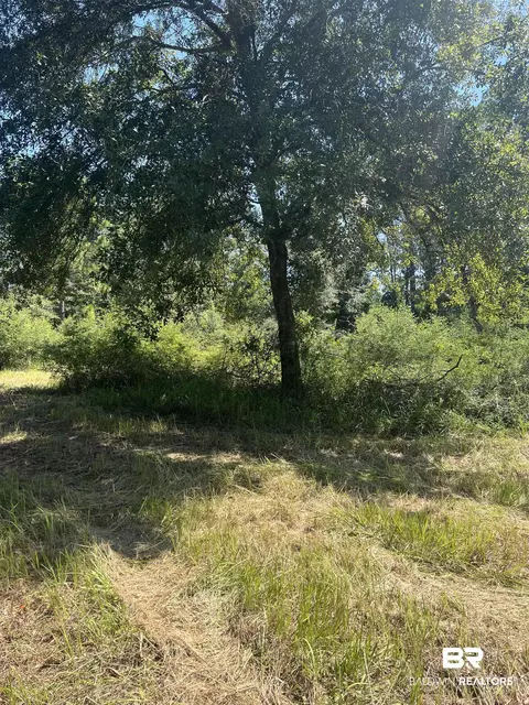 0 Cactus Ct, Elberta, AL 36530 photo 21