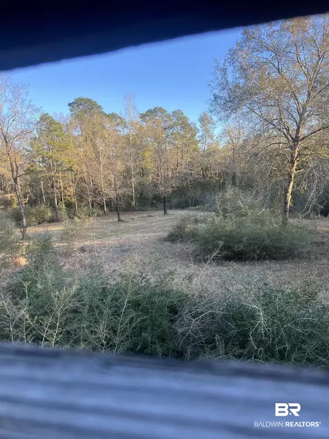 0 Cactus Ct, Elberta, AL 36530 photo 4
